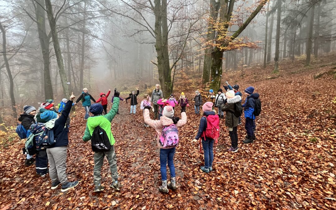 Mit dem Förster im Wald